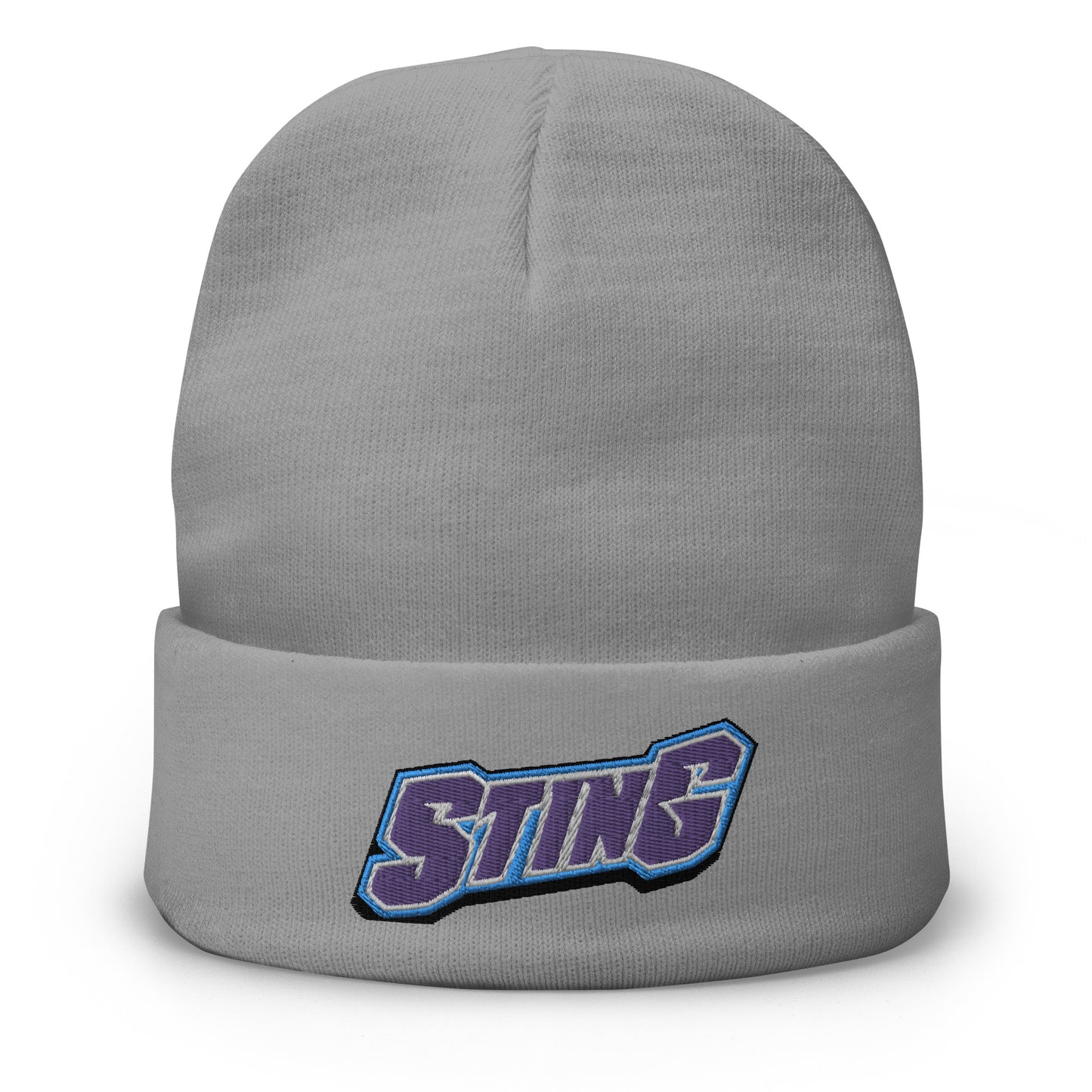 Retro Charlotte Sting Embroidered Beanie