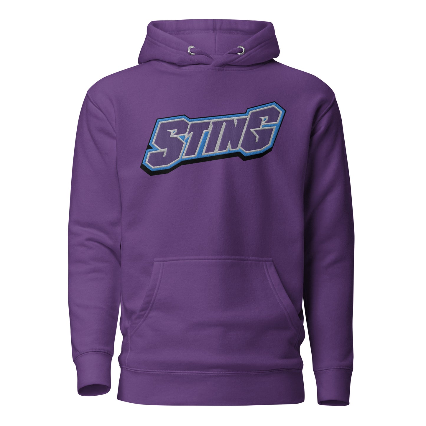 Retro Charlotte Sting Embroidered Hoodie