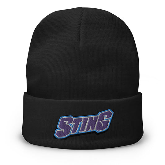 Retro Charlotte Sting Embroidered Beanie