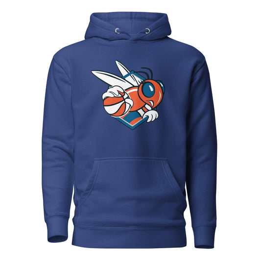 Retro Charlotte Sting Print Hoodie V3
